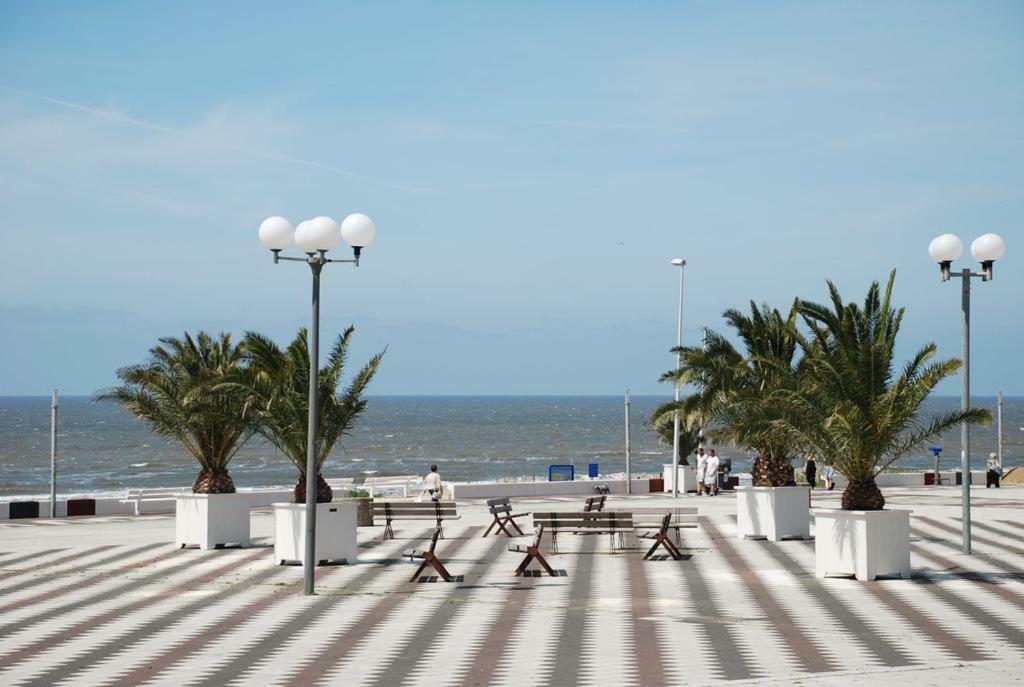 Sunnyzandvoort Exterior photo